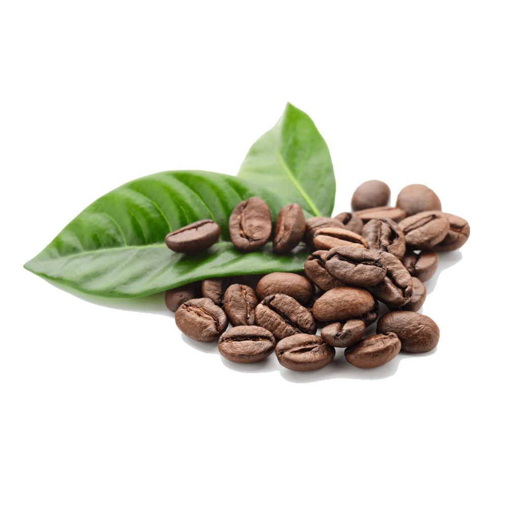 Coffee-Beans-Free-PNG-Image